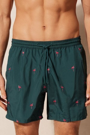 Intimissimi Embroidered Flamingo Swim Trunks Groen | BEDYB96961