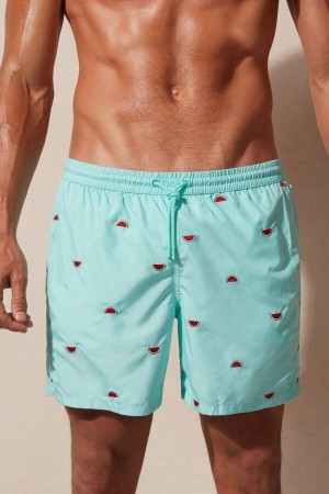 Intimissimi Embroidered Watermelon Swim Trunks Print | BEQAV82260