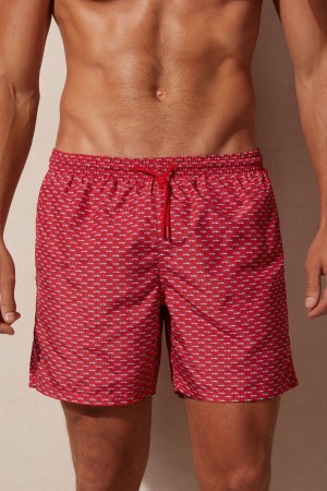 Intimissimi Micro Shark Print Swim Trunks Print | ABEDF70612