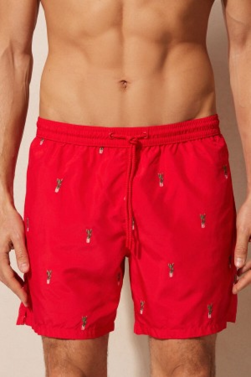 Intimissimi Embroidered Cactus Swim Trunks Print | SBEVO32429