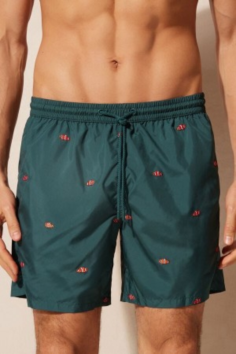 Intimissimi Embroidered Clownfish Swim Trunks Groen | BEXBR12995