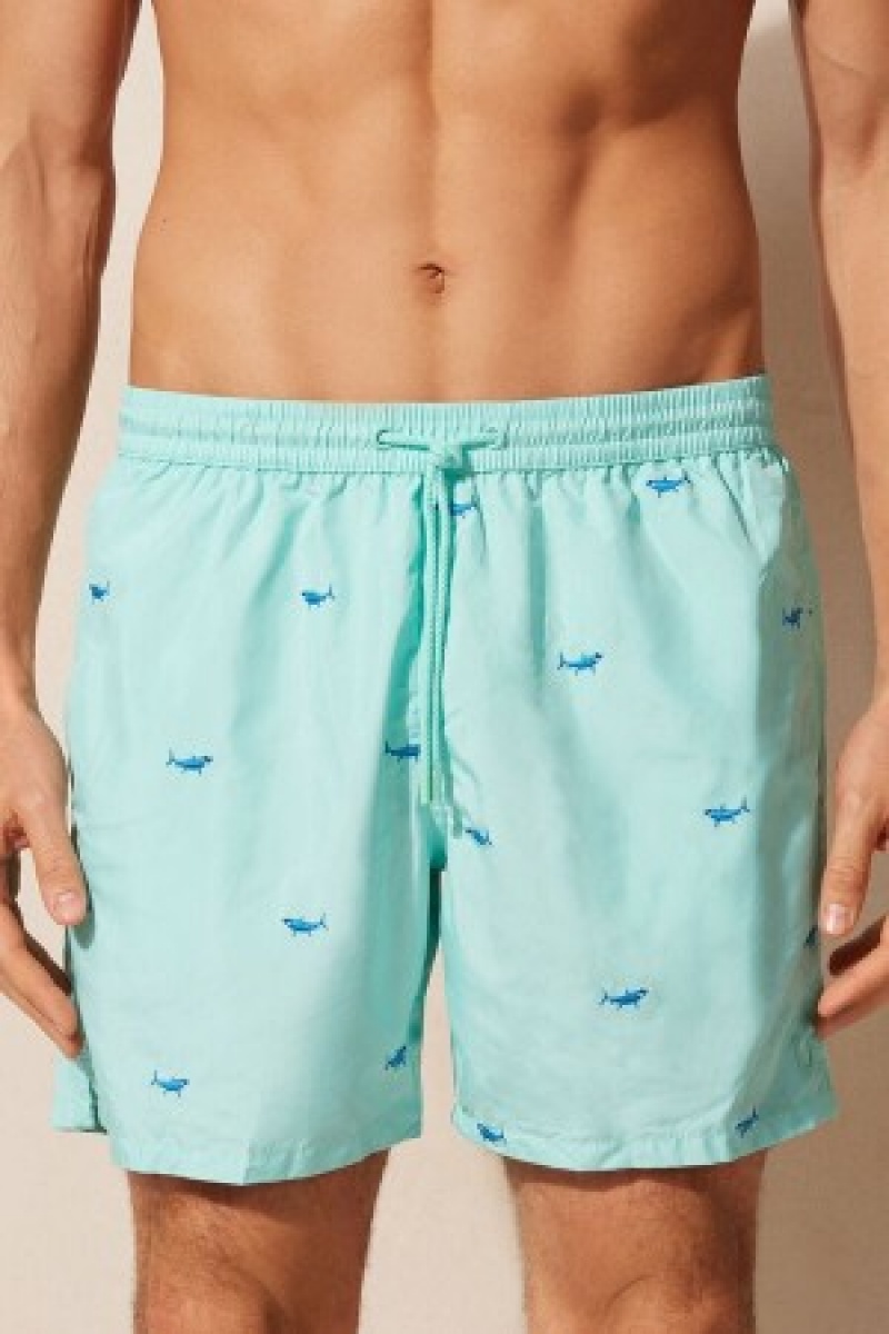 Intimissimi Embroidered Shark Swim Trunks Print | ZBENQ43081