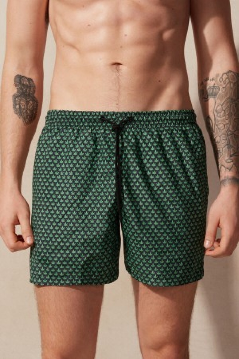 Intimissimi Micro Leaf Print Swim Trunks Groen | BECVG10279