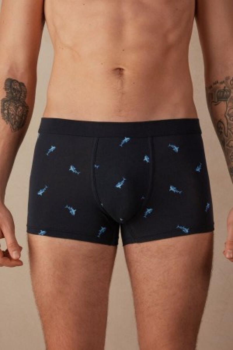 Intimissimi Shark Boxers in Natural Fresh Supima® Katoenen Blauw | BEJVR86163