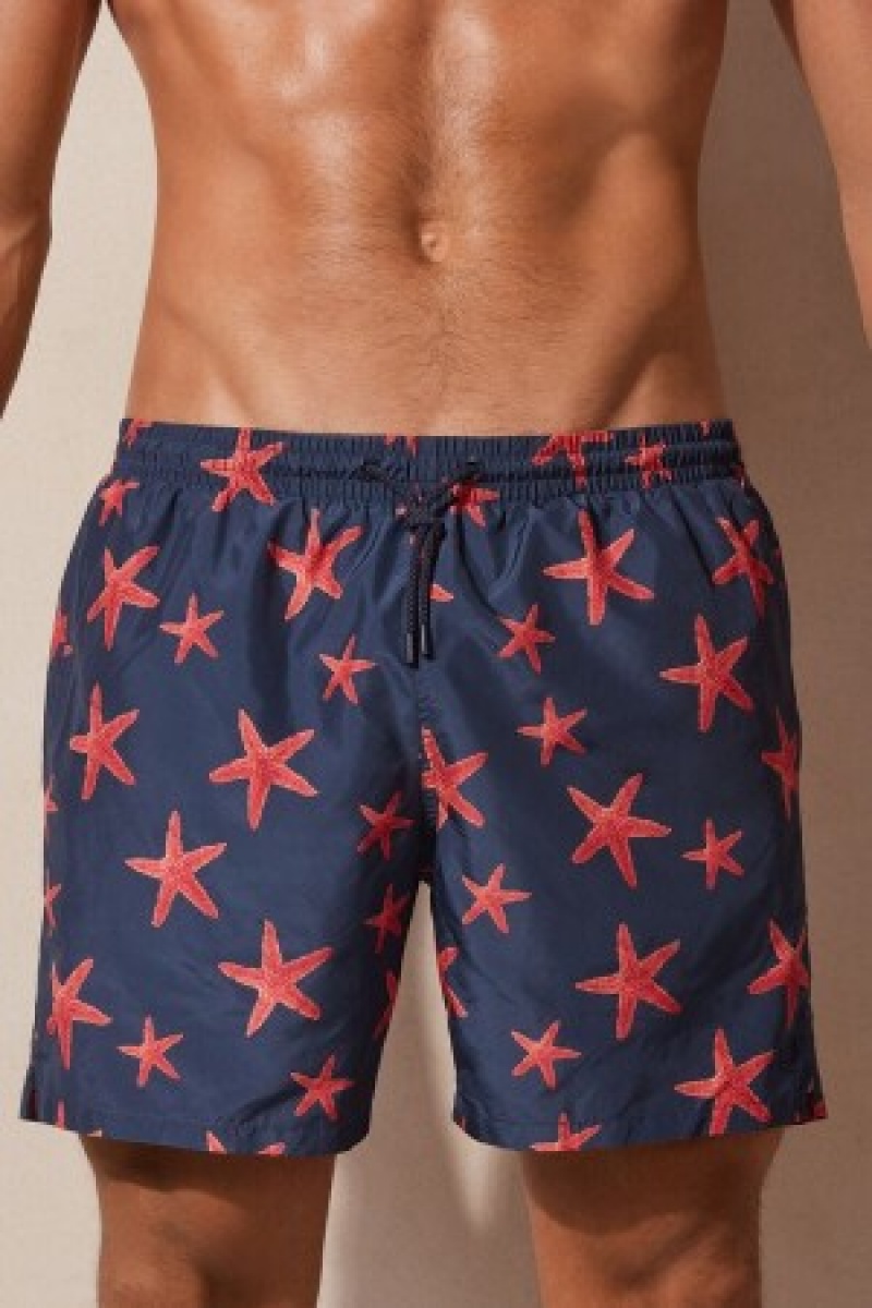 Intimissimi Starfish Print Swim Trunks Blauw | MBEFT97366